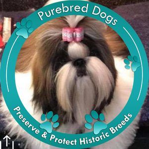 Meet your Posher, Dana gayle